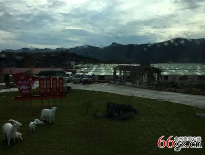 貴州省吉爾斯循環農業發展形勢喜人——家禽家畜養殖助力鄉村振興