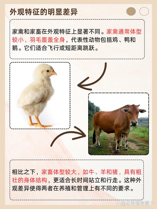 家禽與家畜 農業文明的孿生伙伴與本質分野